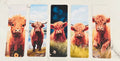 Bookmark