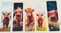 Bookmarks